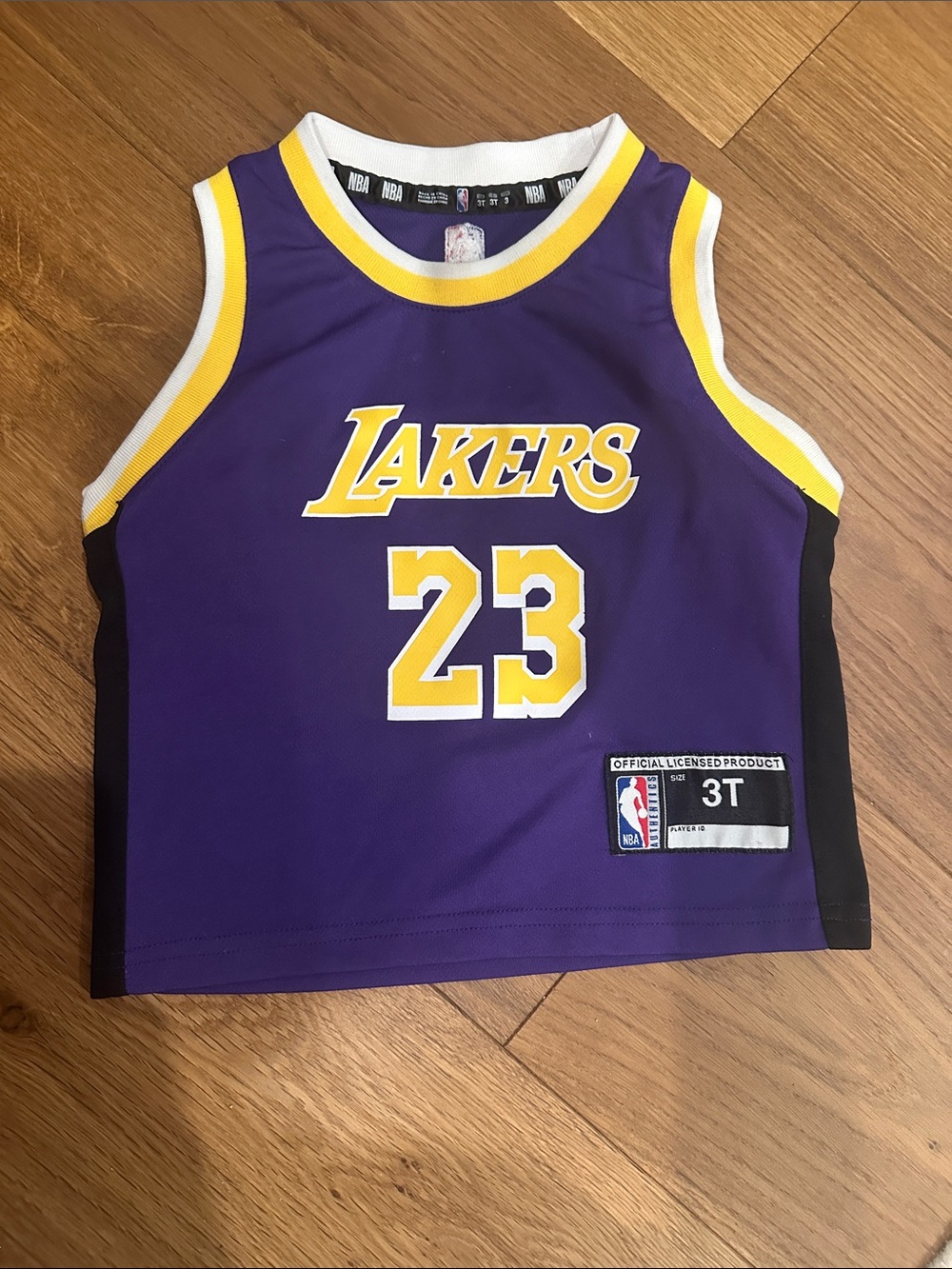 NBA Kids Los Angeles Lakers #23 Purple and Gold Sleeveless Jersey